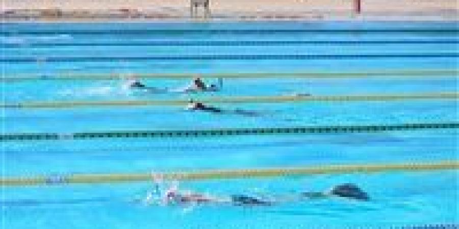تدريبات بطولة العالم للاساتذة للسباحة بالزعانف 2026 بشرم الشيخ
