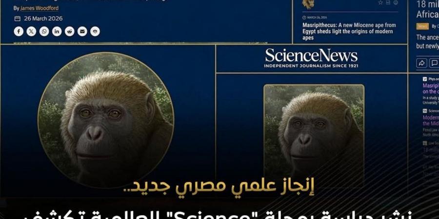 التعليم العالي: جامعة المنصورة تحقق إنجازًا عالميًا بنشر اكتشاف "مصريبثيكس" في مجلة Science