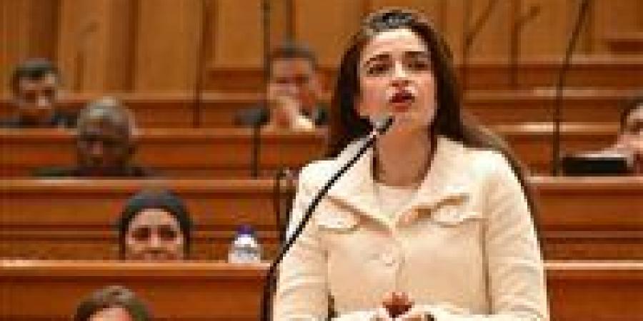 النائبة إيرين سعيد تتقدم بطلب إحاطة لحل أزمة الصرف الصحي بقرية عرب أبو عيد بالقليوبية