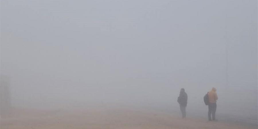 الأرصاد تحذر من الشبورة على السواحل الشمالية الغربية.. وانخفاض ملحوظ في الرؤية