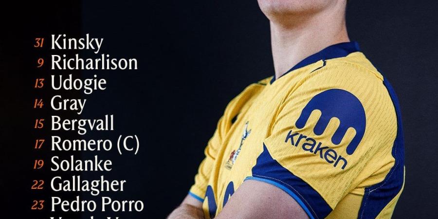 سندرلاند ضد توتنهام.. كولو مواني يقود هجوم السبيرز فى الدوري الإنجليزي