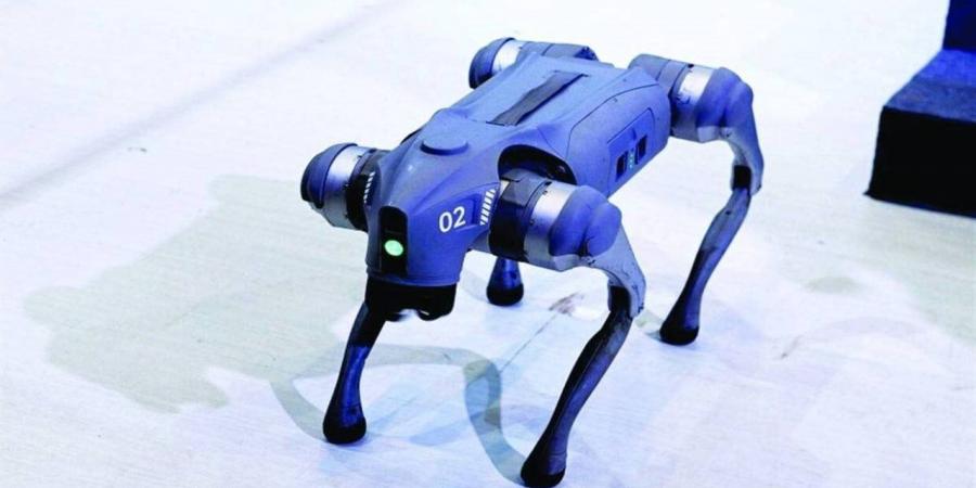 "كلب إرشاد".. الصين تطور تقنية جديدة تعمل بالذكاء الاصطناعي لمساعدة ضعاف البصر