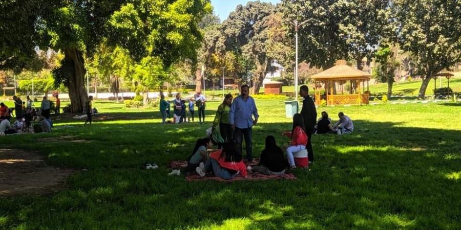 شم النسيم.. تفاصيل حالة الطقس اليوم 13 أبريل 2026