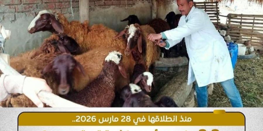منذ انطلاقها مارس 2026. تحصين 2.2 مليون رأس ماشية ضد الجلد العقدى وجدرى الأغنام