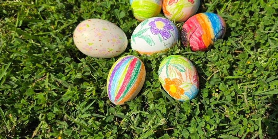 الكل فرحان .. إقبال كبير على حديقة حيوان الزقازيق بمناسبة شم النسيم