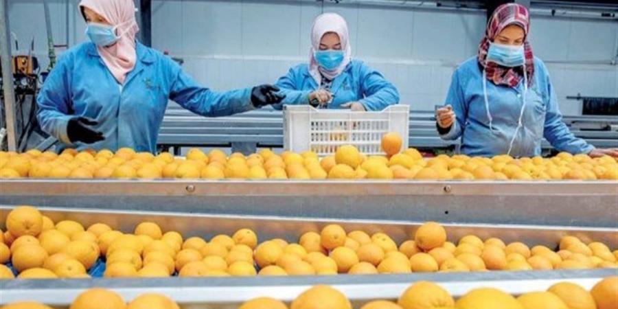 «الصناعات الغذائية» تُحقق 1.073 مليار دولار صادرات خلال أول شهرين في 2026