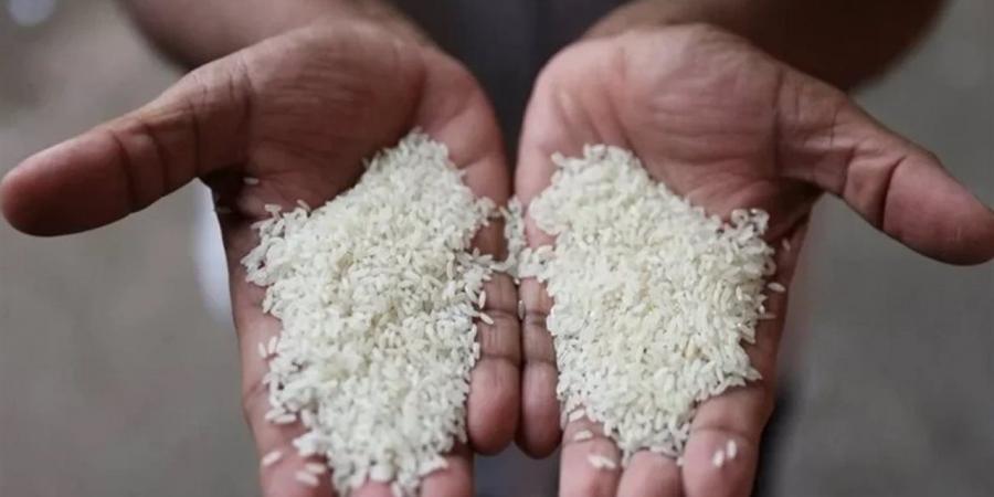 أسعار الأرز الشعير اليوم الثلاثاء 14 إبريل 2026 بالأسواق والمضارب