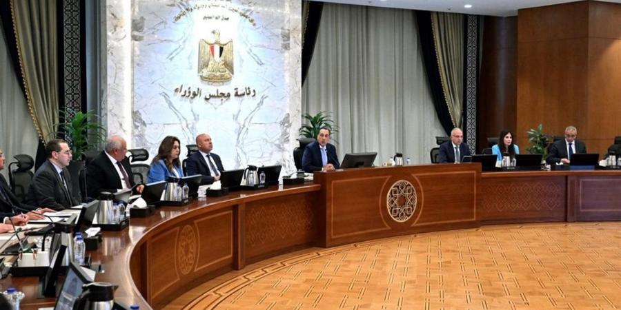 مدبولي: الحكومة تولي اهتمامًا بالغًا بتذليل أي تحديات لانطلاق مشروعي "رأس وشمس الحكمة"