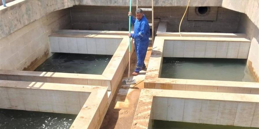 "مياه كفرالشيخ": تطهير وتعقيم المروقات والمرشحات بالمرحلة الأولى بـ “محطة فوه”