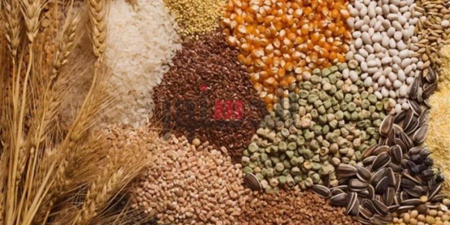 أسعار الحبوب ومكونات الأعلاف في الغربية اليوم الأربعاء 15 أبريل 2026