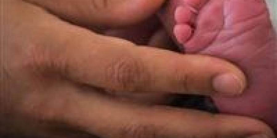 إعادة طفلة الحسين.. كاميرات المراقبة تكشف المتهمة وتفضح تفاصيل الواقعة داخل المستشفى