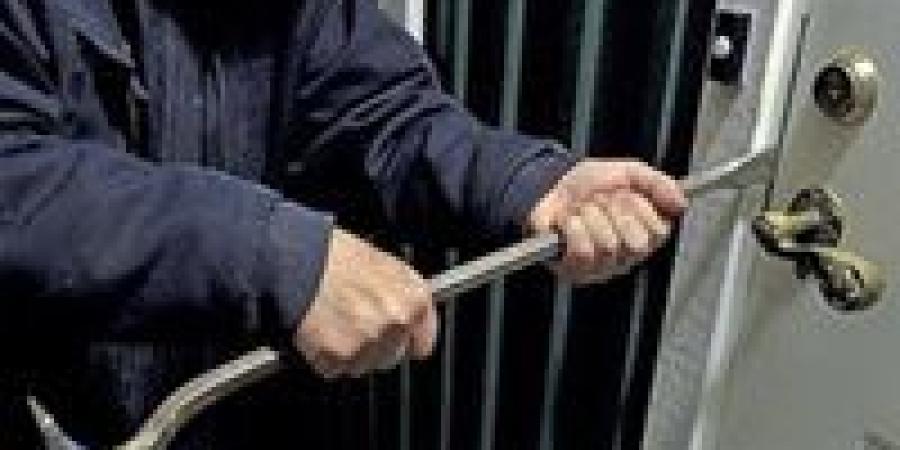 سقوط عصابات النشل وسرقة السيارات في القاهرة