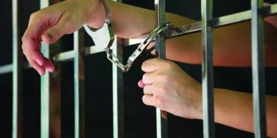 الحبس يصل لـ10 سنوات.. عقوبة حجب المعلومات وتزوير البيانات الحكومية