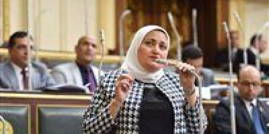 النائبة سناء السعيد تتقدم بسؤال برلماني بشأن تطبيق قرار العدادات الكودية بأثر رجعي