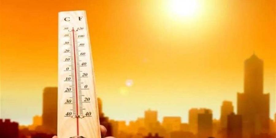 لتقليل الخسائر المحتملة.. نصائح مهمة للمزارعين بالتزامن مع الموجة الحارة