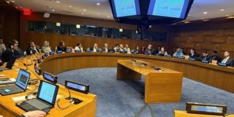 الأمم المتحدة تستضيف اجتماعا عربيا دوليا حول التحولات الديموجرافية