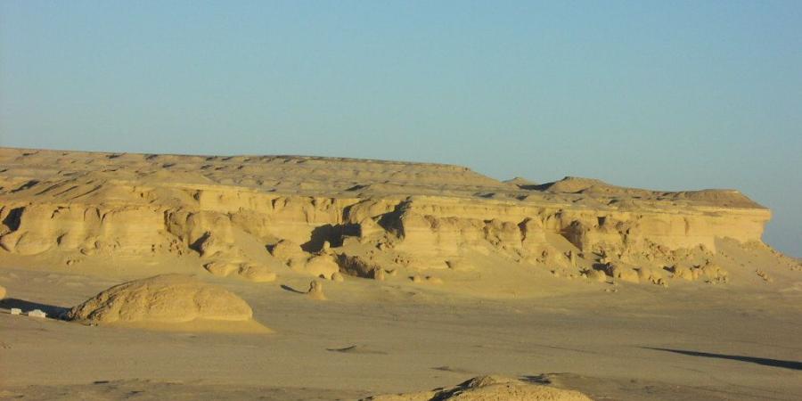 "الدستور" تنشر صورًا حصرية لعودة كنز جيولوجي نادر من أمريكا إلى مصر