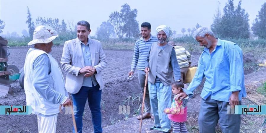 زراعة كفر الشيخ: جولات مكثفة استعدادًا لموسم الأرز والقطن