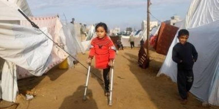 مجلس السلام بـ"غزة": تداعيات خطيرة لنقص الغذاء والدواء في القطاع..والنظام الصحي إنهار