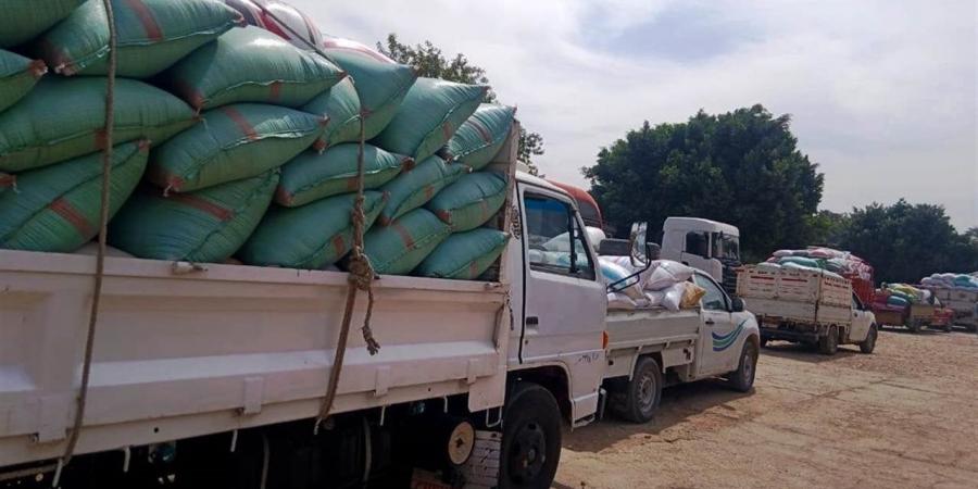 محافظ سوهاج: توريد أكثر من 1844 طن قمح للشون والصوامع خلال 4 أيام