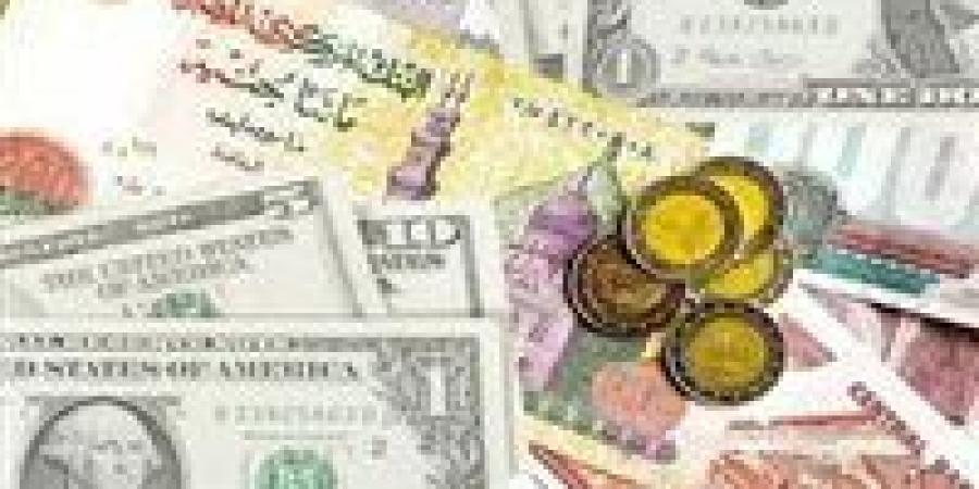 أسعار صرف العملات الأجنبية مقابل الجنيه المصري في البنوك اليوم الأحد