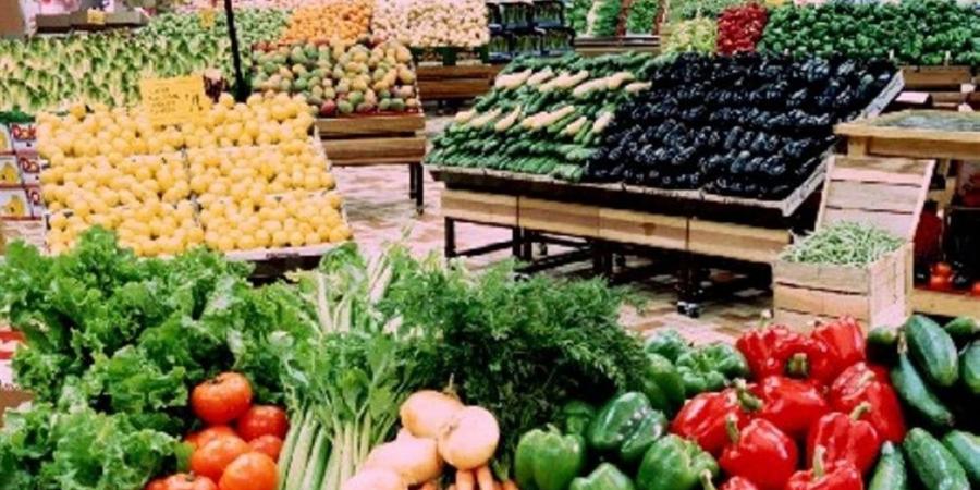 بين وفرة المعروض وضبط الأسعار.. استقرار في أسعار الخضراوات بالشرقية