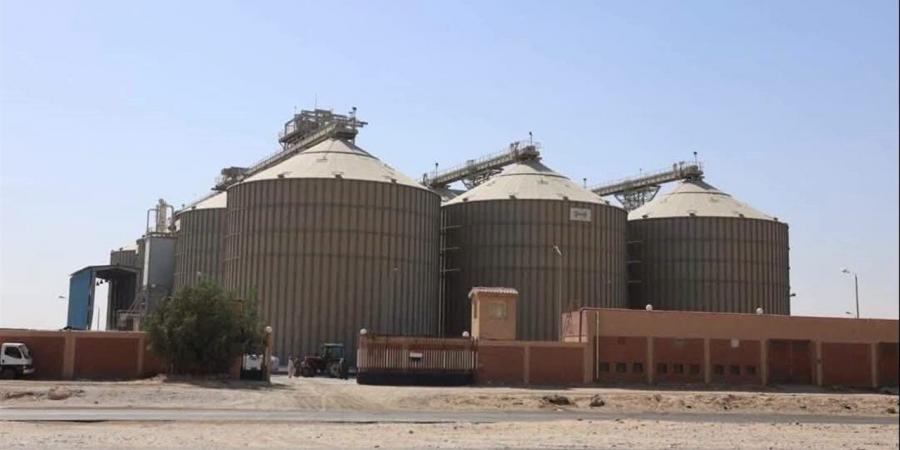 توريد نحو 9.7 ألف طن قمح منذ انطلاق موسم الحصاد بالمنيا