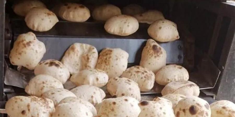 حملات رقابية مفاجئة بالقناطر الخيرية: 19 مخالفة بالمخابز و5 محاضر لعدم إعلان الأسعار