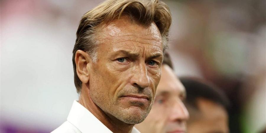 محمد شبانة: الأهلي يحتاج مدرب مثل هيرفي رينارد