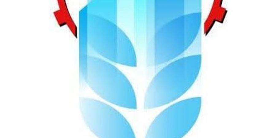 القابضة الغذائية: استلام 5.7 مليون طن قصب من المزارعين.. والتوريدات مستمرة للوصول إلى المستهدف