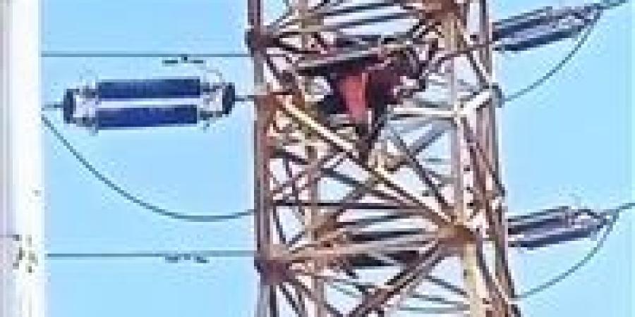 إصابة فني كهرباء بصعق خلال صيانة برج ضغط عالٍ بطامية في الفيوم ونقله للمستشفى