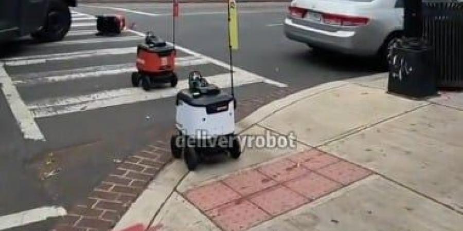 فيديوهات صادمة توثق فوضى روبوتات التوصيل فى الشوارع وتكشف مخاطرها