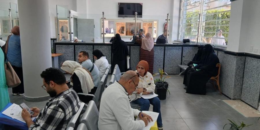 ميكنة 180 خدمة في مدينة دمياط الجديدة