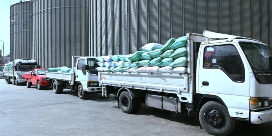 توريد 1748 طن قمح لصوامع البحيرة حتى صباح اليوم