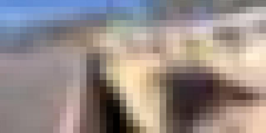 ميناء وهران : وصول باخرة محمّلة بـ23 ألف رأس غنم من إسبانيا