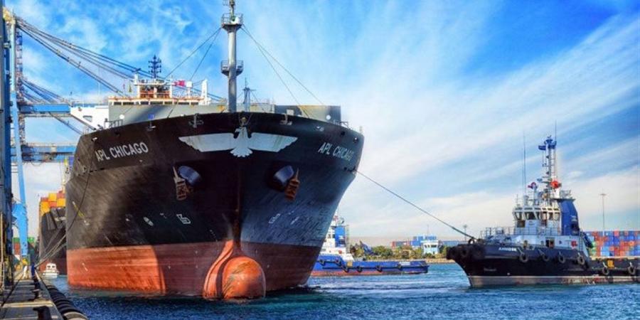 محور لوجستي عالمي.. تطوير الموانئ والمنطقة الاقتصادية لقناة السويس يضع مصر على خريطة التجارة الدولية