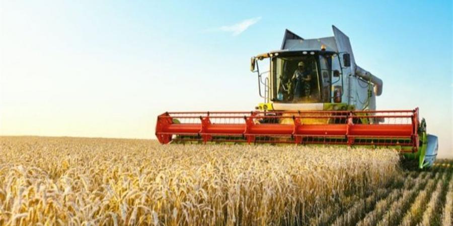 من زفتى.. محافظ الغربية يشهد انطلاق موسم حصاد القمح 2026