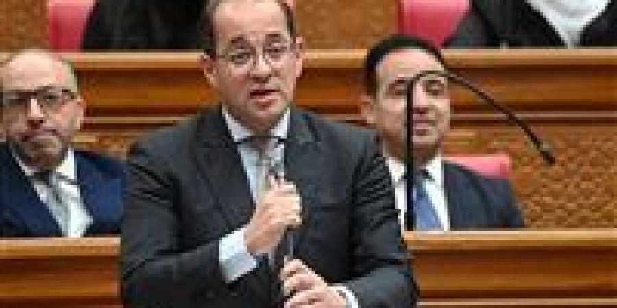 وزير المالية أمام البرلمان: تأجيل بعض المشروعات كثيفة استهلاك الطاقة