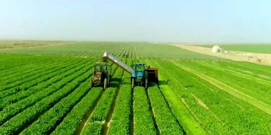 جهاز «مستقبل مصر» يعزز جاذبية الاستثمار ويحفّز مشاركة القطاع الخاص