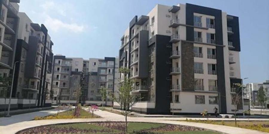 قريبًا في الدقهلية: مشروع ضخم سيغير كل شيء!