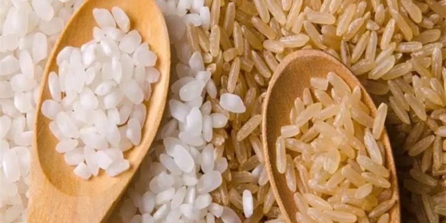 سعر طن الأرز الشعير اليوم الخميس 23 أبريل 2026 في السوق