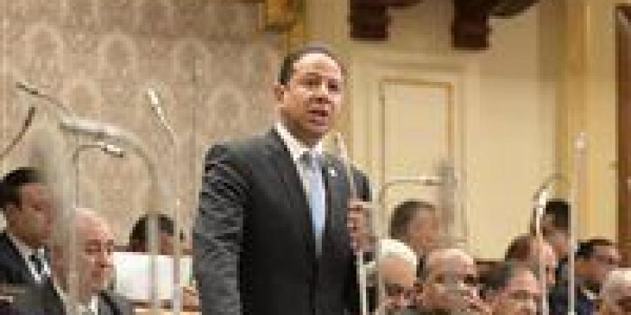 النائب حسن عمار: "اقتصادية القناة" وسيناء رهان الدولة الناجح لتجاوز الأزمات العالمية بالاستثمار والصناعة