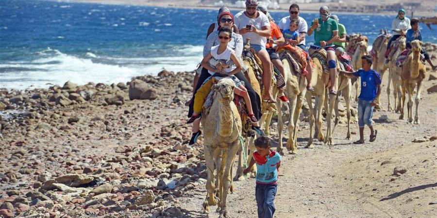 في ذكرى التحرير.. كيف غيرت التنمية وجه سيناء؟