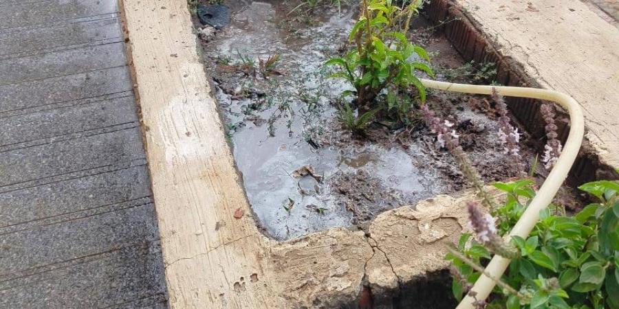 اتحضر للأخضر.. تطوير شوارع كفر سعد في دمياط