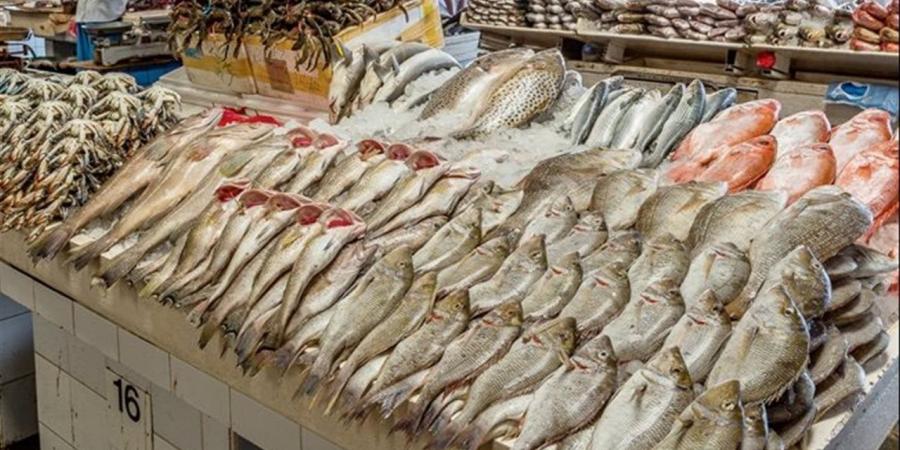 أسعار الأسماك في الغردقة اليوم الجمعة 24 أبريل 2026