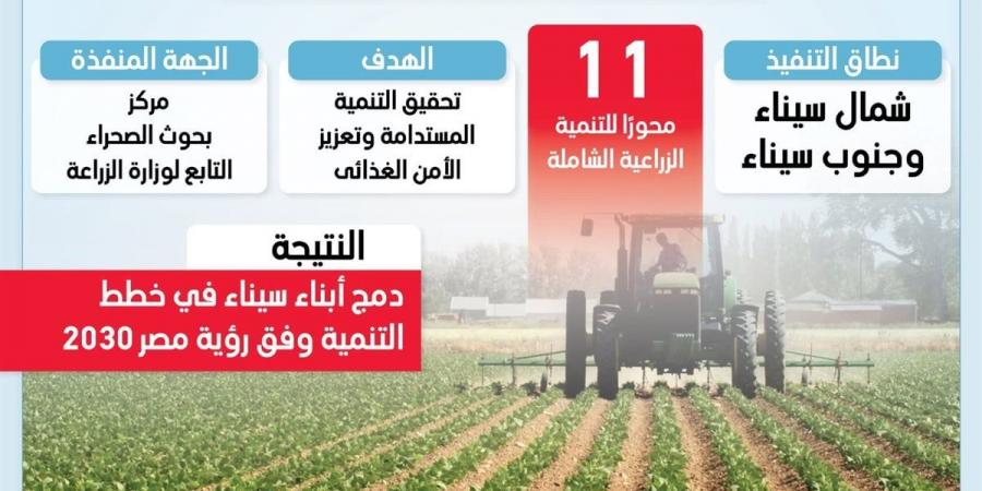 عام من التنمية الزراعية في سيناء يعكس إنجازات الاستصلاح والإنتاج الزراعي (انفوجراف)