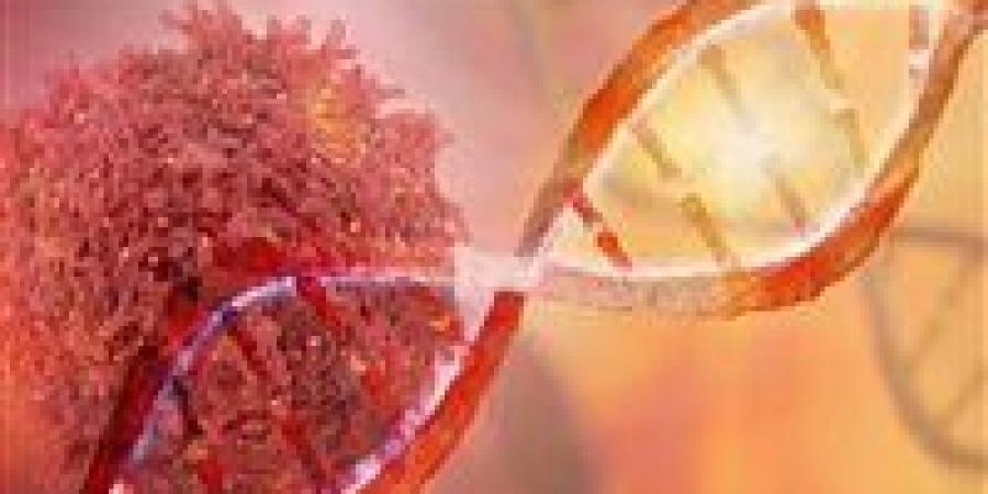 اقتراب علاج جديد للسرطان من مصر.. تصريحات تثير الأمل