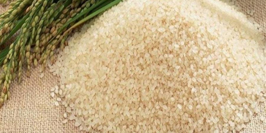 تحديث أسعار الأرز الشعير اليوم الأحد 26 أبريل 2026 في الأسواق