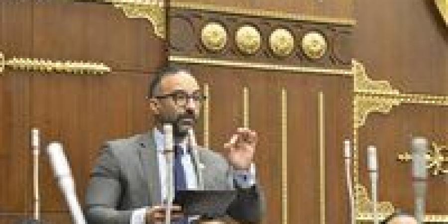 الحمامصي يفتح 3 ملفات شائكة أمام وزير الرياضة بشأن «الهرمونات والاستثمار والتحكيم»