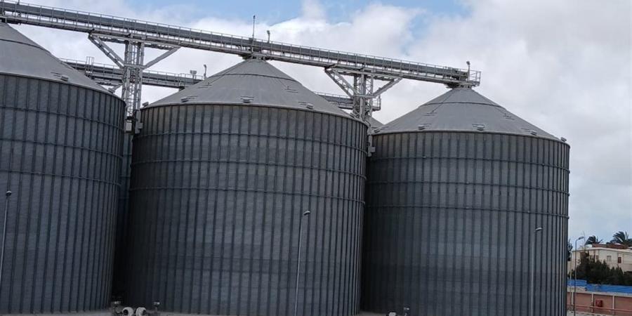 توريد 8 آلاف طن قمح لصوامع كفر الشيخ منذ انطلاق موسم 2026